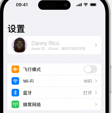 高州appleID维修服务iPhone设置中Apple ID显示为灰色无法使用 