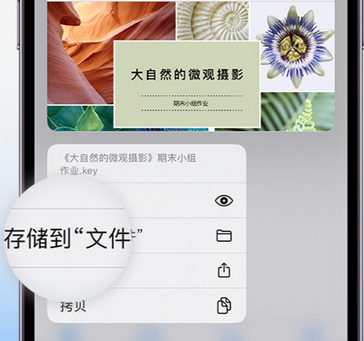 高州apple维修中心分享iPhone文件应用中存储和找到下载文件