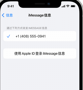 高州apple维修iPhone上无法正常发送iMessage信息 