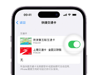 高州apple维修点分享iPhone上更换Apple Pay快捷交通卡手绘卡面 