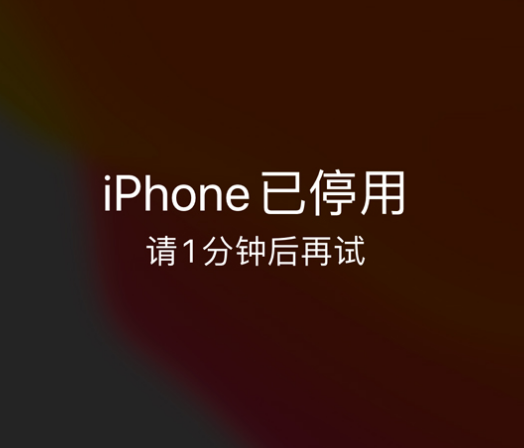 高州苹果手机维修分享:iPhone 显示“不可用”或“已停用”怎么办？还能保留数据吗？ 