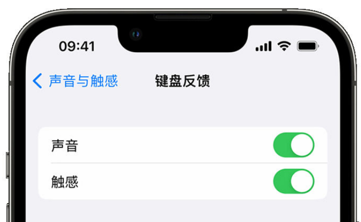 高州苹果手机维修分享iPhone 14触感键盘使用方法 