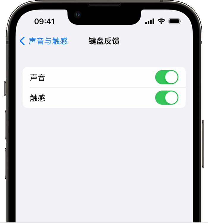 高州苹果14维修店分享如何在 iPhone 14 机型中使用触感键盘 