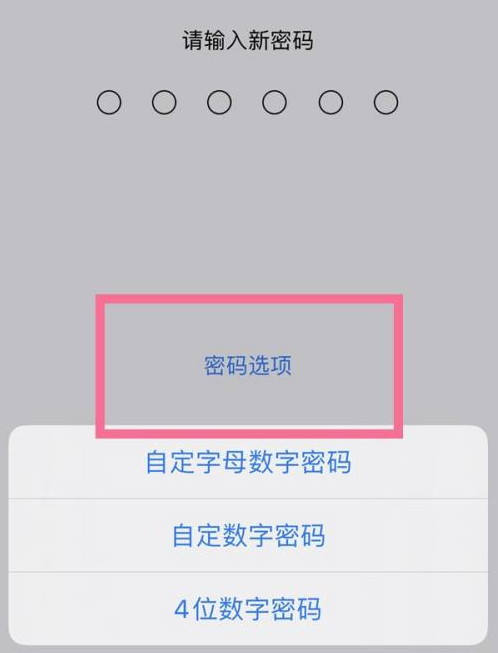 高州苹果14维修分享iPhone 14plus设置密码的方法 