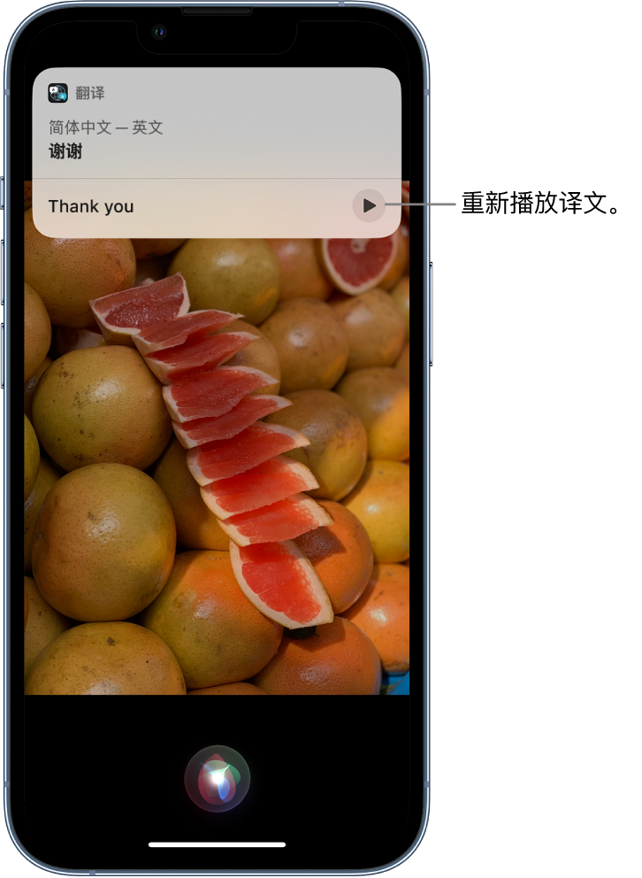 高州苹果14维修分享 iPhone 14 机型中使用 Siri：了解 Siri 能帮你做什么 