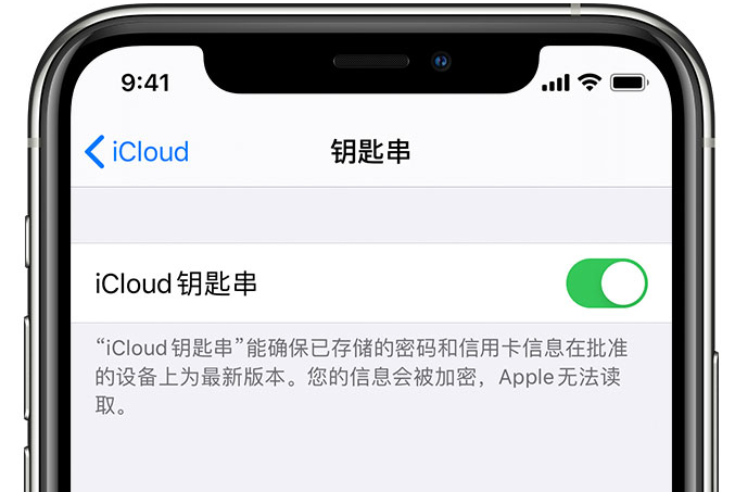 高州苹果手机维修分享在 iPhone 上开启 iCloud 钥匙串之后会储存哪些信息 