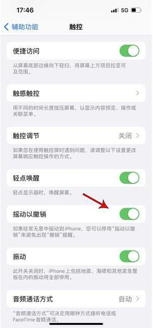 高州苹果手机维修分享iPhone手机如何设置摇一摇删除文字 