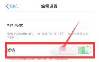 高州苹果13维修分享iPhone13拍照有绿点是怎么回事 