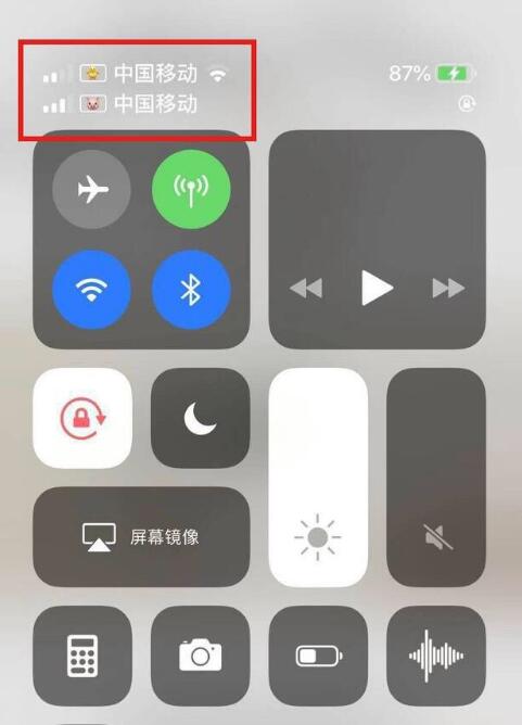 高州苹果手机维修分享为 iPhone 12 双卡设置标签 