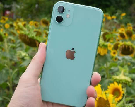 高州苹果维修点分享iPhone 11锁屏密码认知与使用科普 